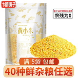 杂粮主义红薏米500g红薏仁薏仁米苡仁薏米粥豆浆料包原料五谷杂粮粗粮组合 黄小米500g*1袋