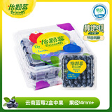 怡颗莓【超值力荐】当季云南蓝莓 国产蓝莓 送礼 新鲜水果 云南蓝莓14mm+   2盒*125g