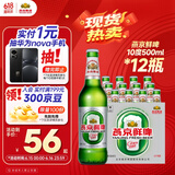 燕京啤酒 鲜啤10度500ml*12瓶  父亲节送礼 火热开抢 整箱装