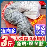 清爵鳄鱼肉鳄鱼尾鳄鱼腿肉鳄鱼腩肉鳄掌肉带皮鳄鱼生鲜肉食材净重 3斤鳄鱼腿肉