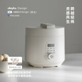 olayks立时 电压力锅 高压锅 家用多功能高压电饭锅快煮智能预约小型 3升适用3-5人双胆 补贴YBW3001A