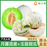 京地达山东流星蜜瓜玉菇甜瓜组合净重4.5单果约1000g蜜瓜 源头直发 包邮