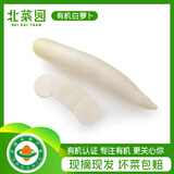 北菜园有机白萝卜400g有机蔬菜 新鲜蔬菜火锅食材【进店多样加购】