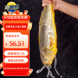 三都港 鲜冻原条黄花鱼净重2斤/2条 宁德大黄鱼 深海鱼生鲜鱼类海鲜水产