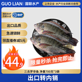 GUO LIAN国联水产 三去罗非鱼6条/4.2斤  海鲜鱼类 源头直发 冷冻海产海鲜