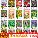 花沃里20款花种子套餐 花卉种子组合太阳花凤仙花向日葵四季种野花