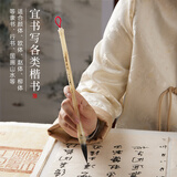 玉水湖兼毫毛笔初学者书法练习专用小楷书篆书隶书行书中号练字笔学生入门小篆中楷谦毫写毛笔字 秋璃