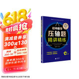 初中数学压轴题精讲精练（七年级）