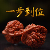 山中玉文玩核桃狮子头四座楼白官帽手玩把玩古玩麻核桃520送礼物手把件 进阶级41-42mm满天星+升级工具