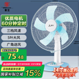 华生（Wahson）电风扇/台扇/落地扇/低音风扇/大风量家用定时电扇空调伴侣 FT-A1401 