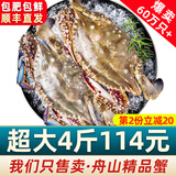 【销量60W+只】舟山超大梭子蟹鲜蟹活冻大螃蟹生鲜飞蟹大肉蟹 4斤7-10只【129】