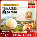 三只松鼠夏威夷果500g/袋 坚果炒货干果约24-26mm大果休闲零食送礼 