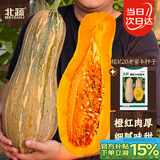 北蔬 南瓜种子苗甜糯板栗味老品种杂交蔬菜种籽 糯妃20老蜜本种子20粒