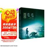 毛毛 : 时间窃贼和一个小女孩的不可思议的故事  彩绘精装版  