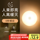 大头人（datouren）感应灯小夜灯楼道人体感应灯卫生间专用声控灯起夜灯磁吸感应夜灯
