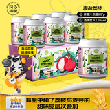 斑马精酿海盐荔枝风味果味精酿礼盒装 果啤 250ml*6罐装 斑马音乐节限定