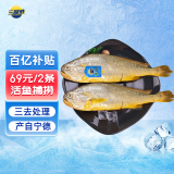 三都港冷冻三去大黄鱼700g/2条装 地标宁德黄花鱼 生鲜鱼类 海鲜水产