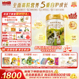 海普诺凯1897【新国标】荷致较大婴儿配方奶粉 2段800克*6罐（6-12月龄）