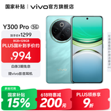 vivo Y300 Pro 国家补贴 6500mAh蓝海电池 80W远航闪充 7.69mm超薄机身 索尼5000万超清主摄 拍照手机 金镶玉 8GB+256GB