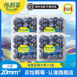怡颗莓【新鲜优选】进口秘鲁蓝莓 新鲜蓝莓 生鲜水果 蓝莓大果125g*4盒（20mm+）