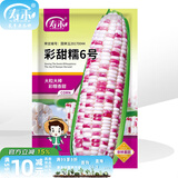 寿禾 超甜水果玉米种子大全紫糯黑甜糯可生食粘甜种孑夏秋寿光蔬菜 彩甜糯6号玉米种子200g