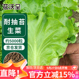 花沃里意大利耐抽苔生菜10g约5000粒 蔬菜种子四季全年生菜阳台庭院田间