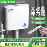 松鲸 免打孔水箱卫生间厕所冲水箱家用节能大冲力水箱蹲便器 经济款水箱+ABS增压喷枪+配件