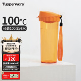 特百惠（Tupperware）茶韵500ML塑料杯 男女学生便携夏季水杯子大容量办公用 橘花橙
