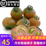 味小仙辽宁丹东草莓柿子（发顺丰）铁皮柿子绿腚油柿子西红柿番茄蔬菜 3斤