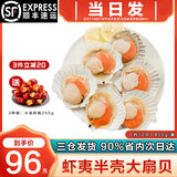 海泽鲜 鲜冻虾夷半壳特大扇贝1000g  海鲜烧烤食材超大号蒜蓉粉丝扇贝肉 【虾夷大扇贝】 800g(净重)  -1000