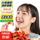 【自营】麻辣小龙虾尾夜宵必备加热即食龙虾球25年鲜活小龙虾烧制 麻辣250g*3盒
