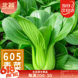 北蔬 小青菜种子苗上海青梗菜油菜种籽 速生605上海青种子50g约2万粒
