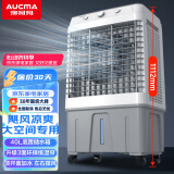 澳柯玛（AUCMA）1.1米高空调扇大型水冷风机/家用商业用冷风扇/网吧餐厅食堂制冷风扇/车间工业扇冷气机电风扇A207