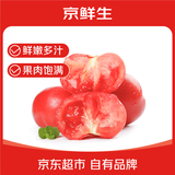 京鲜生陕西沙瓤西红柿 净重4.5斤 单果100g+ 沙瓤番茄源头直发 