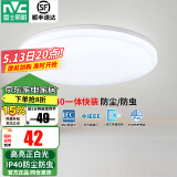 雷士（NVC）阳台灯卧室灯吸顶灯灯具灯饰厨房灯LED照明灯现代简约灯饰卫生间 如雪白 12瓦 正白光 IP40防虫