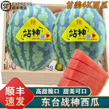 南步正宗东台战神西瓜【顺丰到家】江苏爆甜站神甘美4K大西瓜新鲜水果 6-7斤 精品中瓜【1枚装】