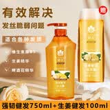 蜂花小麦蛋白护发素焗油膏发膜润发乳改善毛躁保湿滋润泽丝滑本草精华 【生姜健发】洗发露750g+生姜100ml