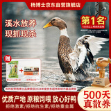 杨博士皖南散养溪水河鸭 净重2斤 老鸭子麻鸭土鸭鸭肉生鲜源头直发