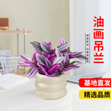京云梦油画婚礼吊兰垂吊植物花卉植物室内花盆栽紫露兰甜甜圈源头直发