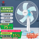 华生（Wahson）电风扇/台扇/落地扇/低音风扇/大风量家用定时电扇空调伴侣交流定频电风扇 FT-A1401 