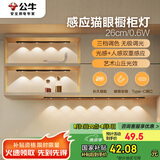 公牛（BULL）感应猫眼橱柜灯磁吸充电山丘光效展柜玄关氛围小夜灯 黑26cm三色