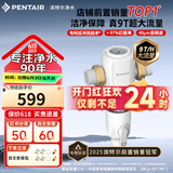 滨特尔（pentair）前置过滤器大通量家用全屋自来水管道40μm过滤器9吨/H大流量水驱涡轮+反冲洗刮洗净水器 【升级9T/H】S160前置过滤器