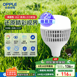 欧普（OPPLE）LED灯泡2级能效灯泡E27螺口商用摆摊大功率厂房工矿灯100瓦白光