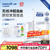 洁碧（Waterpik）冲牙器家用台式洗牙器水牙线洁牙器家用预防牙结石小魔盒GT17-12白礼物父亲节礼物