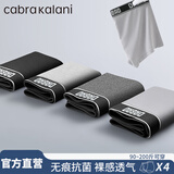 CabraKalani男士内裤男莫代尔运动四角平角抗菌大码男生无痕冰丝男式裤头裤衩 A国潮风灰灰灰黑莫代尔 4条 XL （建议110-135斤）