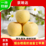 京地达烟台栖霞奶油富士苹果净重4.5斤单果约250g烟台苹果水果源头直发