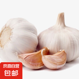 山东大蒜干蒜新鲜白皮精品大蒜 大蒜 300g 8到10头小果3-4厘米