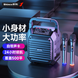 新科X17 无线蓝牙音箱户外大音量广场舞音响小型家用收音机手提便携式地摊摆摊喇叭收钱码播报器 双咪