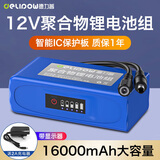 德力普（Delipow）12v锂电池大容量锂离子聚合物锂电池组带显示屏移动电源太阳能灯音响监控设备24V可充电方形电池 12V 16000毫安【带显示器+2A充电器】
