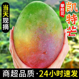 农根蔬四川攀枝花凯特芒果新鲜水果云南当季特大香甜青忙果当季整箱包邮 净重4.5斤中小果【单果300g+】